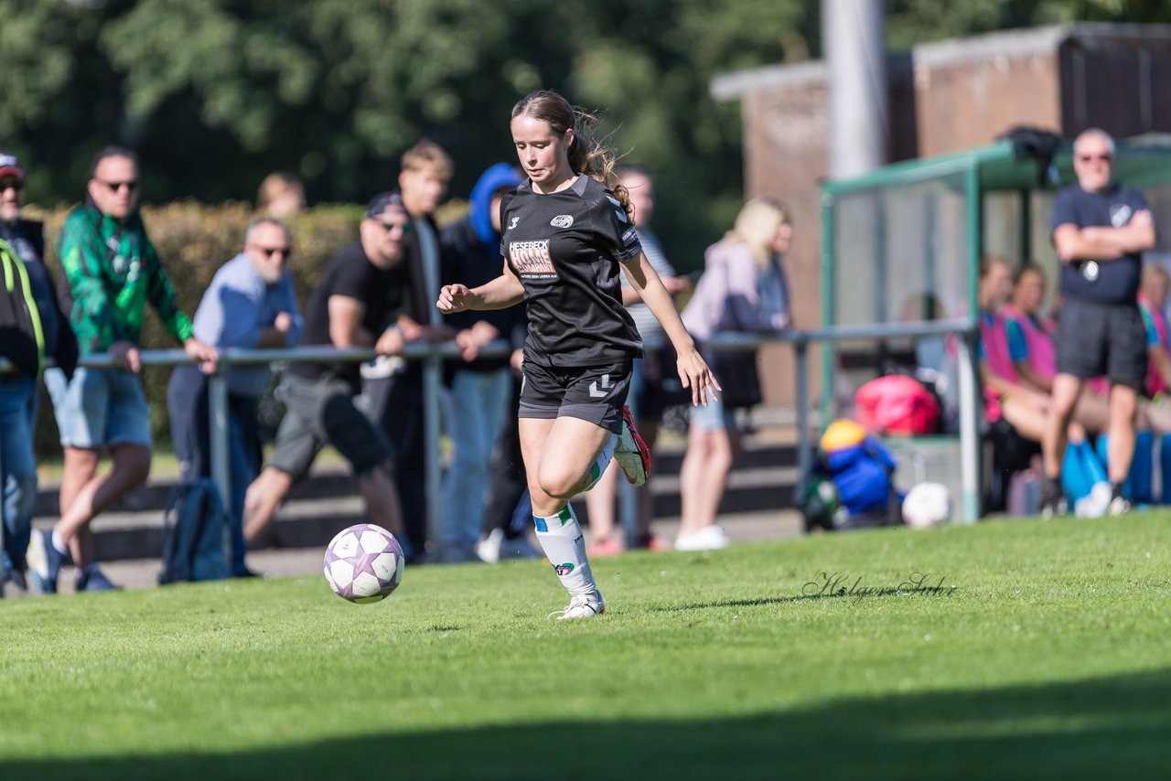 Bild 253 - wBJ SV Henstedt Ulzburg - FSG Oldendorf Itzehoe : Ergebnis: 2:5